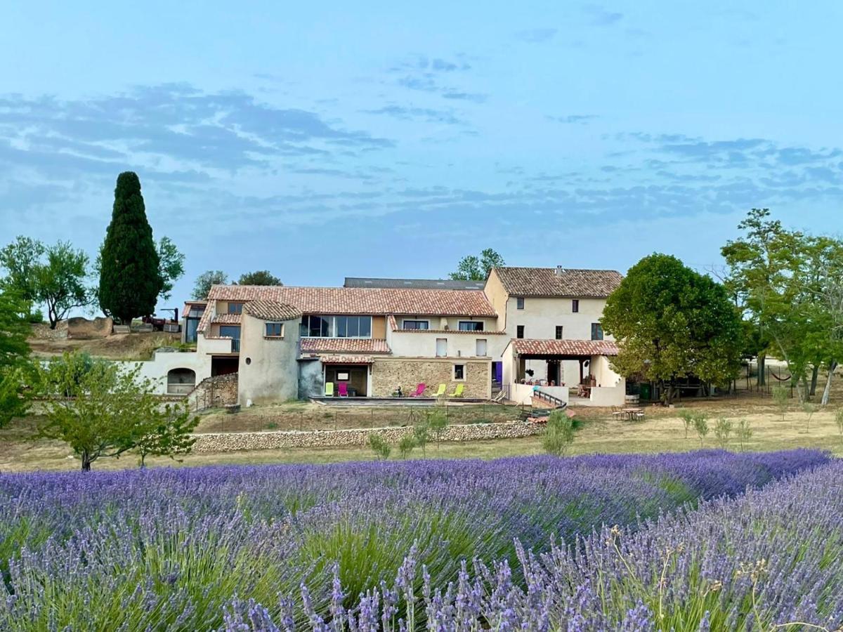 Chambre A La Ferme Au Milieu Des Lavandes Valensole Dış mekan fotoğraf