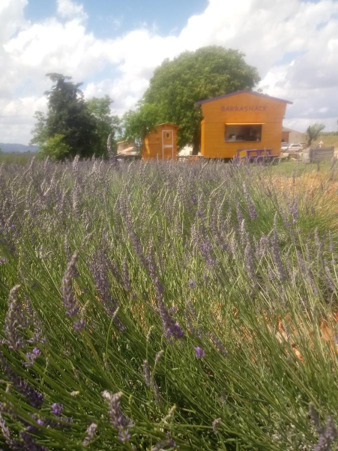 Chambre A La Ferme Au Milieu Des Lavandes Valensole Dış mekan fotoğraf