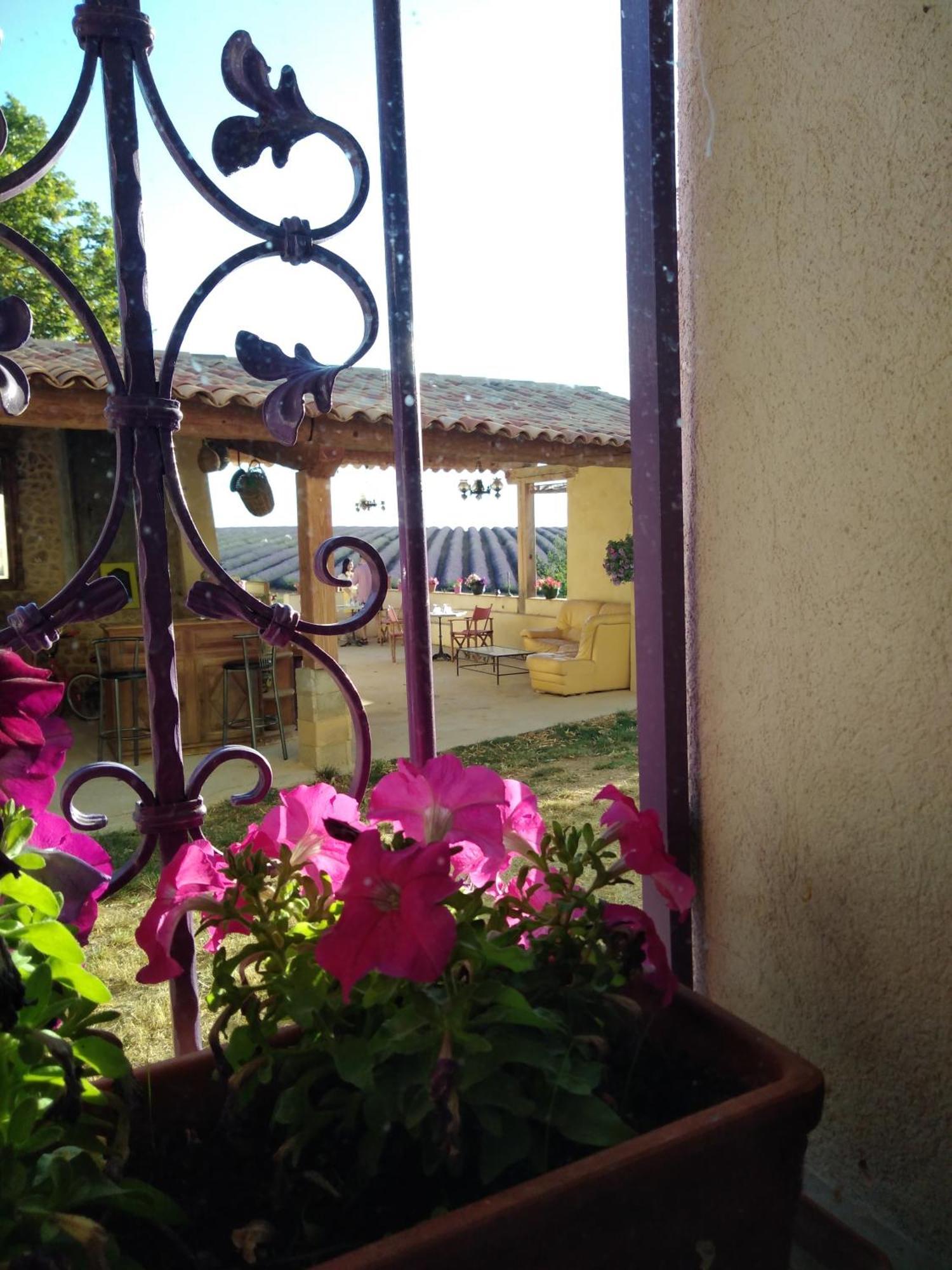 Chambre A La Ferme Au Milieu Des Lavandes Valensole Dış mekan fotoğraf